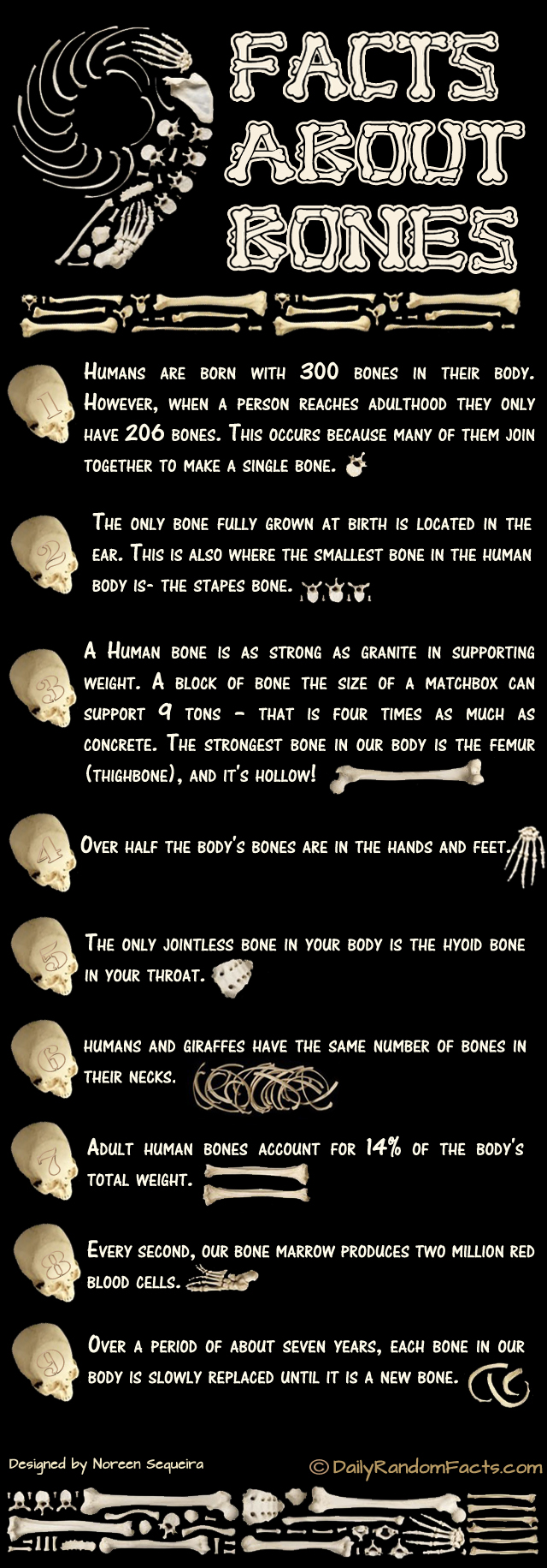 9 amazing facts about your bones!